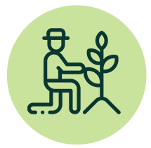 Expert-led professional courses